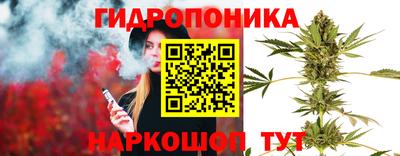 альфа пвп Заводоуковск