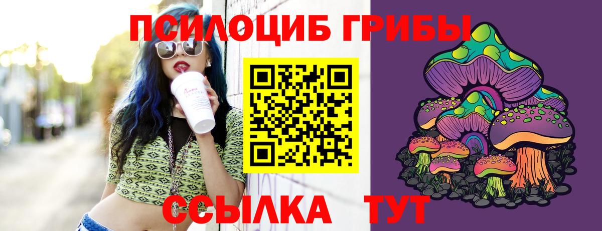Каспийск  Галлюциногенные грибы GOLDEN TEACHER  Псилоцибиновые грибы мухоморы  Вход с VPN 